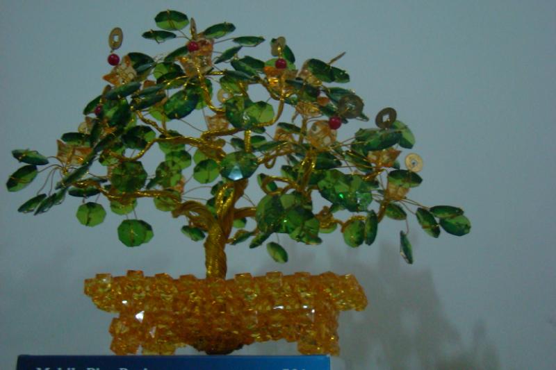 金钱树